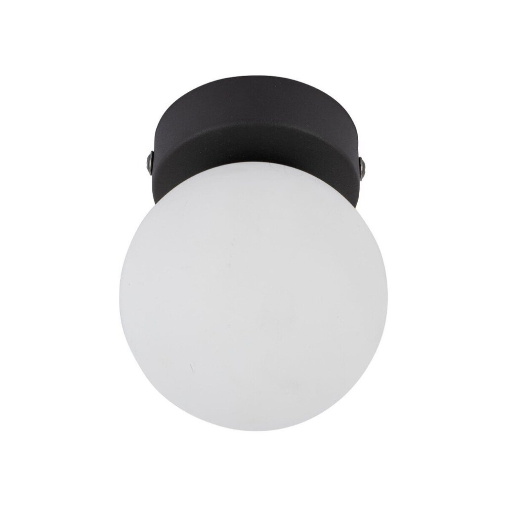 TK Lighting kattovalaisin Sufitowa hinta ja tiedot | Kattovalaisimet | hobbyhall.fi