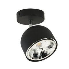 TK Lighting kattovalaisin Altea hinta ja tiedot | Kattovalaisimet | hobbyhall.fi