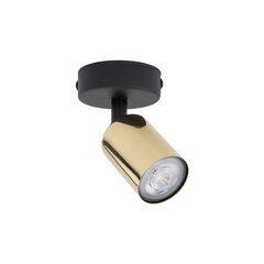 TK Lighting kattovalaisin Top hinta ja tiedot | Kattovalaisimet | hobbyhall.fi