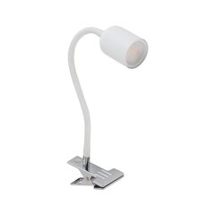 TK Lighting pöytävalaisin Top hinta ja tiedot | Pöytävalaisimet | hobbyhall.fi