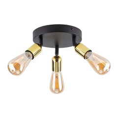 TK Lighting kattovalaisin Top hinta ja tiedot | Kattovalaisimet | hobbyhall.fi