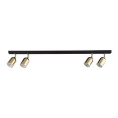 TK Lighting kattovalaisin Top hinta ja tiedot | Kattovalaisimet | hobbyhall.fi