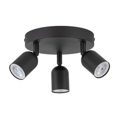 TK Lighting kattovalaisin Top hinta ja tiedot | Kattovalaisimet | hobbyhall.fi