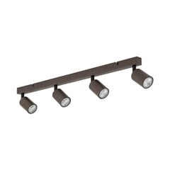 TK Lighting kattolamppu Top hinta ja tiedot | Kattovalaisimet | hobbyhall.fi