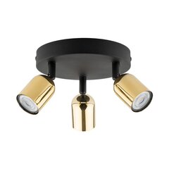 TK Lighting kattovalaisin Top hinta ja tiedot | Kattovalaisimet | hobbyhall.fi