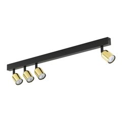 TK Lighting kattovalaisin Top hinta ja tiedot | Kattovalaisimet | hobbyhall.fi