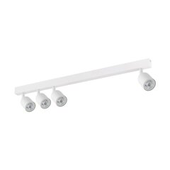 TK Lighting kattovalaisin Top hinta ja tiedot | Kattovalaisimet | hobbyhall.fi