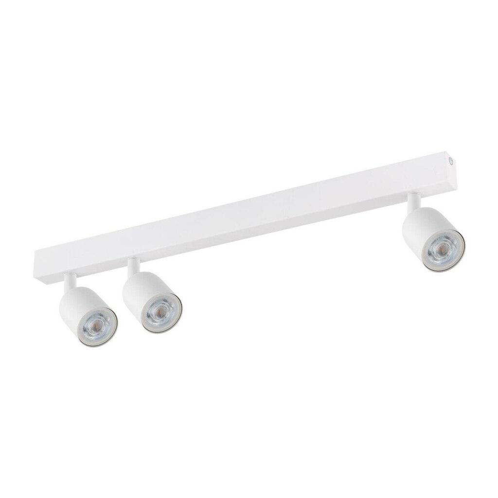 TK Lighting kattovalaisin Top hinta ja tiedot | Kattovalaisimet | hobbyhall.fi