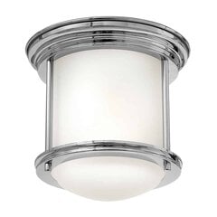 Elstead lighting kattovalaisin Hadrian hinta ja tiedot | Kattovalaisimet | hobbyhall.fi