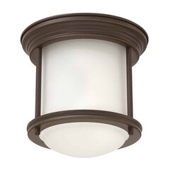 Elstead lighting kattovalaisin Hadrian hinta ja tiedot | Kattovalaisimet | hobbyhall.fi