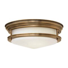 Elstead lighting kattovalaisin Hadrian hinta ja tiedot | Kattovalaisimet | hobbyhall.fi