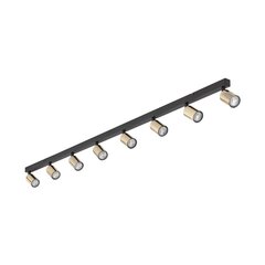 TK Lighting kattovalaisin Top hinta ja tiedot | Kattovalaisimet | hobbyhall.fi