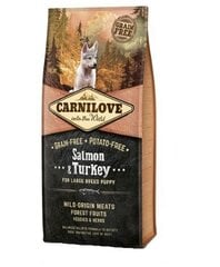 Kuivaruoka koirille Carni Love Salmon & Turkey Puppy Large Breed 1,12kg hinta ja tiedot | Carnilove Lemmikit | hobbyhall.fi