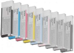 EPSON ink vivid light magenta Stylus4880 hinta ja tiedot | Mustekasetit | hobbyhall.fi