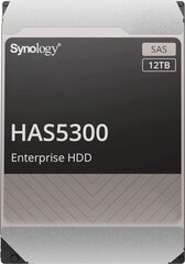 Synology HAS5300-12T hinta ja tiedot | Kovalevyt | hobbyhall.fi