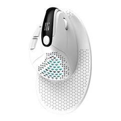 Delux Wireless Ergonomic Mouse M618XSD BT+2.4G RGB hinta ja tiedot | Hiiret | hobbyhall.fi