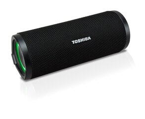 Toshiba TY-WSP102 hinta ja tiedot | Kaiuttimet | hobbyhall.fi