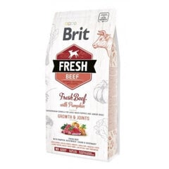 Brit Fresh Beef & Pumpkin Puppy Large Bones & Joints täysruokaa koirille 12 kg hinta ja tiedot | Brit Fresh Lemmikit | hobbyhall.fi