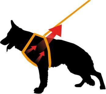 Koiran valjaat Ferplast Ergocomfort, musta, S hinta ja tiedot | Koiran valjaat ja kaulapannat | hobbyhall.fi