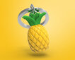 Meta[l]morphose avaimenperä - MTM089 - 01 Ananas hinta ja tiedot | Hauskat avaimenperät | hobbyhall.fi