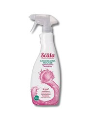 Scala monitoimivaahto homeen ja rasvan puhdistukseen, 700 ml hinta ja tiedot | Puhdistusaineet | hobbyhall.fi