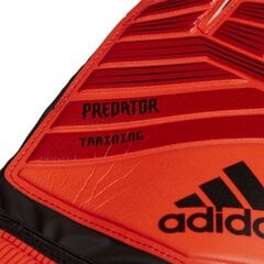 Miesten käsineet Adidas Pred TRN DN8563, punainen hinta ja tiedot | Adidas Kuntoiluvälineet | hobbyhall.fi