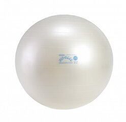 Fit Ball 55 hinta ja tiedot | Voimistelupallot | hobbyhall.fi