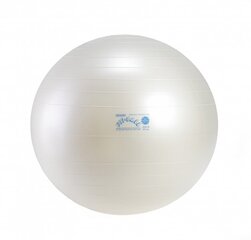 Fit Ball harjoituspallo 75 hinta ja tiedot | Gymnic Urheilu ja vapaa-aika | hobbyhall.fi