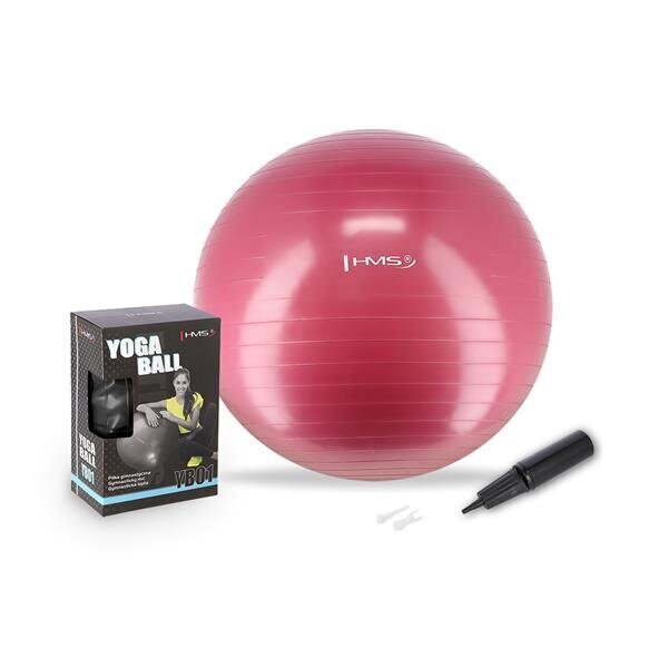 Voimistelupallo HMS YB01N Gym Ball 65 cm, pinkki hinta ja tiedot | Voimistelupallot | hobbyhall.fi