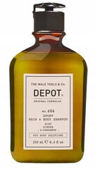 Vartalo- ja hiuspesuaine Depot No.606 Sport Hair & Body Shampoo, 250 ml hinta ja tiedot | Depot Hajuvedet ja kosmetiikka | hobbyhall.fi