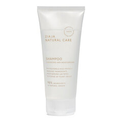 Shampoo Ziaja Natural Care, 200 ml hinta ja tiedot | Shampoot | hobbyhall.fi