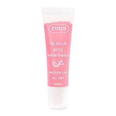 Huulikuorinta Ziaja Sugar Lip Scrub Sweet Mirabelle Melon, 12 ml hinta ja tiedot | Huulipunat, huulikiillot ja huulirasvat | hobbyhall.fi