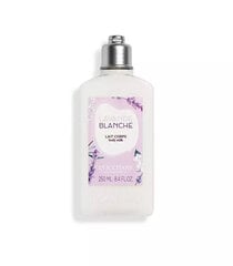 Vartalomaito L'Occitane En Provence Lavender Blanche, 250 ml hinta ja tiedot | Vartalovoiteet ja -emulsiot | hobbyhall.fi