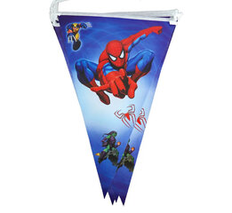 Lippunauha Spiderman, 1 kpl hinta ja tiedot | Juhlakoristeet | hobbyhall.fi