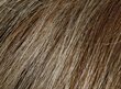 BEARDBURYS Hiusväri shampoo parta ja viikset, 5N Vaalea ruskea hinta ja tiedot | Hiusvärit | hobbyhall.fi