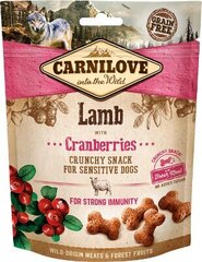 Koiranhoito Carnilove Dog Lamb with Cranberries, 200 g hinta ja tiedot | Koiran herkut | hobbyhall.fi