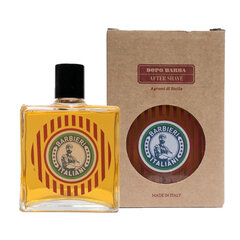 Barbieri Italiani After Shave Lotion Citrus 100ml hinta ja tiedot | Barbieri Italiani Hajuvedet ja kosmetiikka | hobbyhall.fi