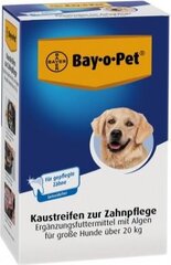 Hampaidenhoito purulappuja koirille Bayer BayoPet, 140g hinta ja tiedot | Bayer Lemmikit | hobbyhall.fi