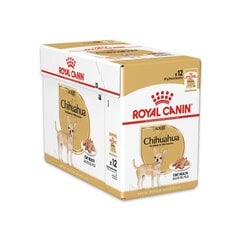 Royal Canin Chihuahua koirille, 12x85 g hinta ja tiedot | Koiran märkäruoka | hobbyhall.fi