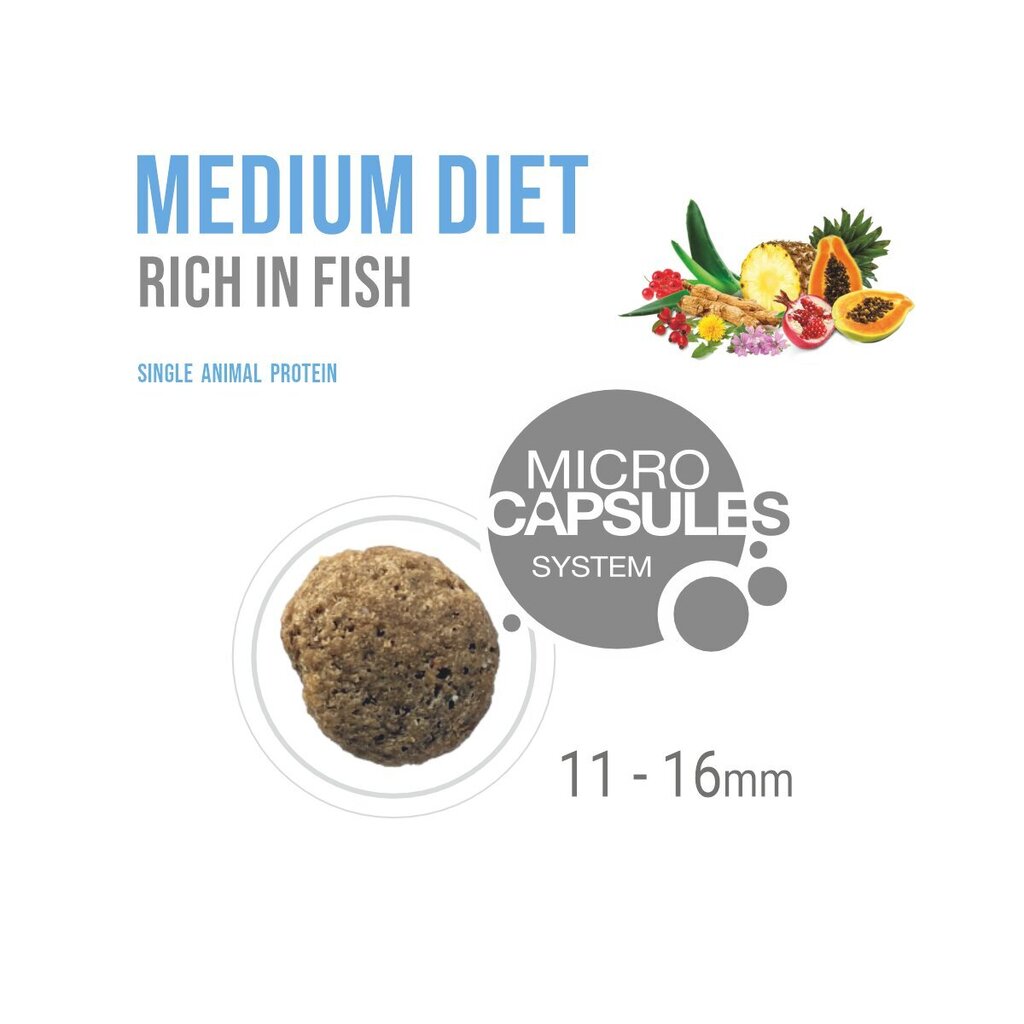 Forza10 Medium-ruokavalio keskikokoisille roduille kalan kanssa, 12 kg hinta ja tiedot | Koiran kuivaruoka | hobbyhall.fi