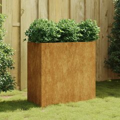 vidaXL Kukkalaatikko 80x40x80 cm Corten teräs hinta ja tiedot | Kukkalaatikot | hobbyhall.fi