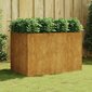 vidaXL Korotettu kukkalaatikko 120x80x80 cm Corten teräs hinta ja tiedot | Kukkalaatikot | hobbyhall.fi