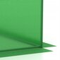 Puutarhakasvihuone - aurea, 2,5x4 m hinta ja tiedot | Kasvihuoneet | hobbyhall.fi