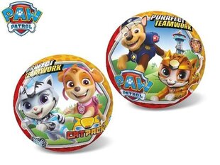 Paw patrol -pallo 23 cm hinta ja tiedot | The Paw Patrol Urheilu ja vapaa-aika | hobbyhall.fi