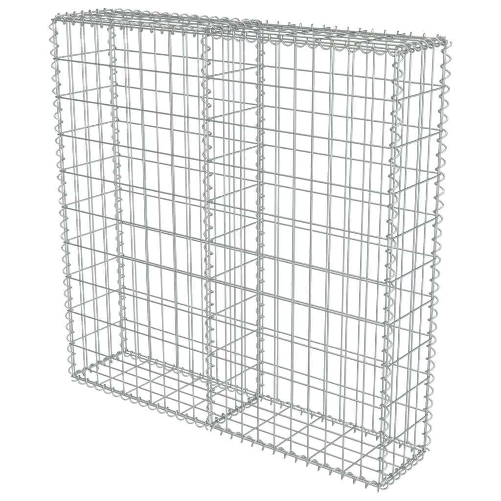 vidaXL Gabion-kivikori kansilla galvanoitu teräs 100x20x100 cm hinta ja tiedot | Aidat ja tarvikkeet | hobbyhall.fi