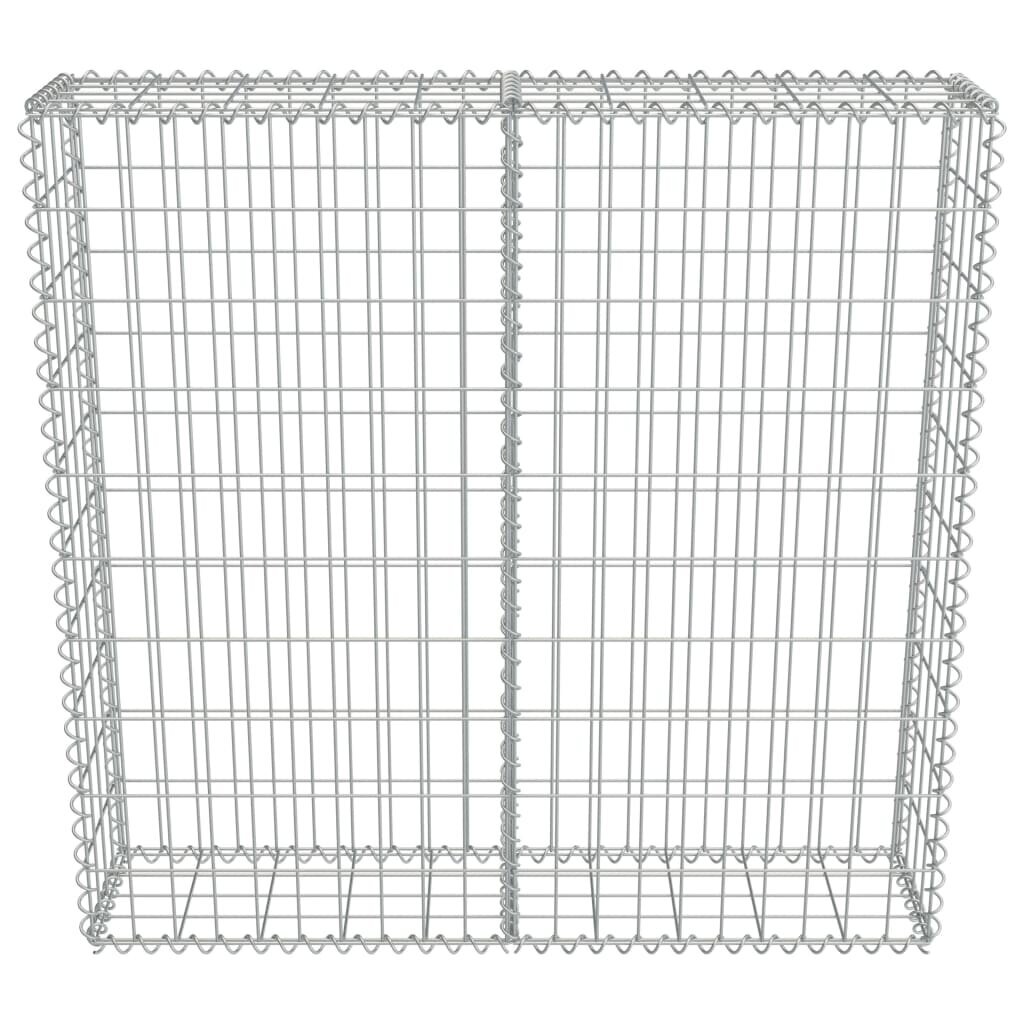 vidaXL Gabion-kivikori kansilla galvanoitu teräs 100x20x100 cm hinta ja tiedot | Aidat ja tarvikkeet | hobbyhall.fi