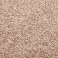 vidaXL Ovimatto beige 60x80 cm hinta ja tiedot | Ovimatot | hobbyhall.fi