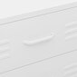 vidaXL Lipasto valkoinen 80x35x101,5 cm teräs hinta ja tiedot | Lipastot | hobbyhall.fi