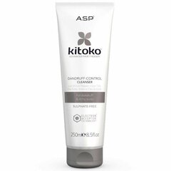 Anti-hilse shampoo, Kitoko, Dandruff Control Cleanser, 250 ml hinta ja tiedot | Kitoko Hiustenhoitotuotteet | hobbyhall.fi