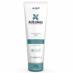 KITOKO Hydro Revive hiusbalsami, 250ml hinta ja tiedot | Kitoko Hajuvedet ja kosmetiikka | hobbyhall.fi